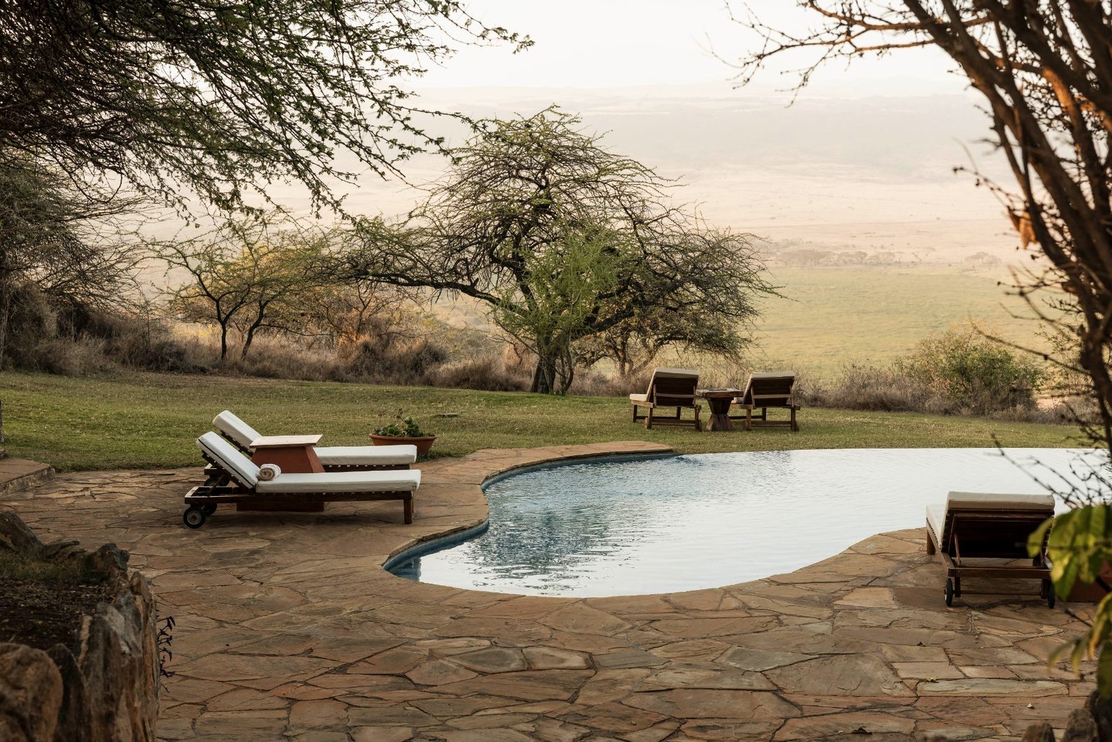The pool terrace with loungers looking out over the bush